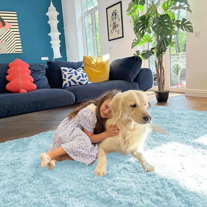 6x9 Machine Washable Large Area Rugs for Living Room, Bedroom