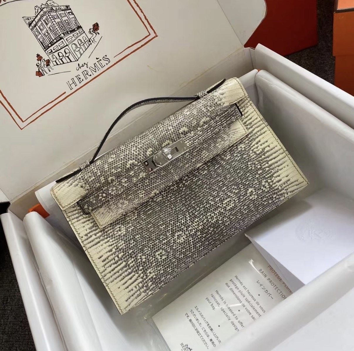 Kelly Pochette Ombre Lizard Leather Silver hardware Custom - Artisantouchss
