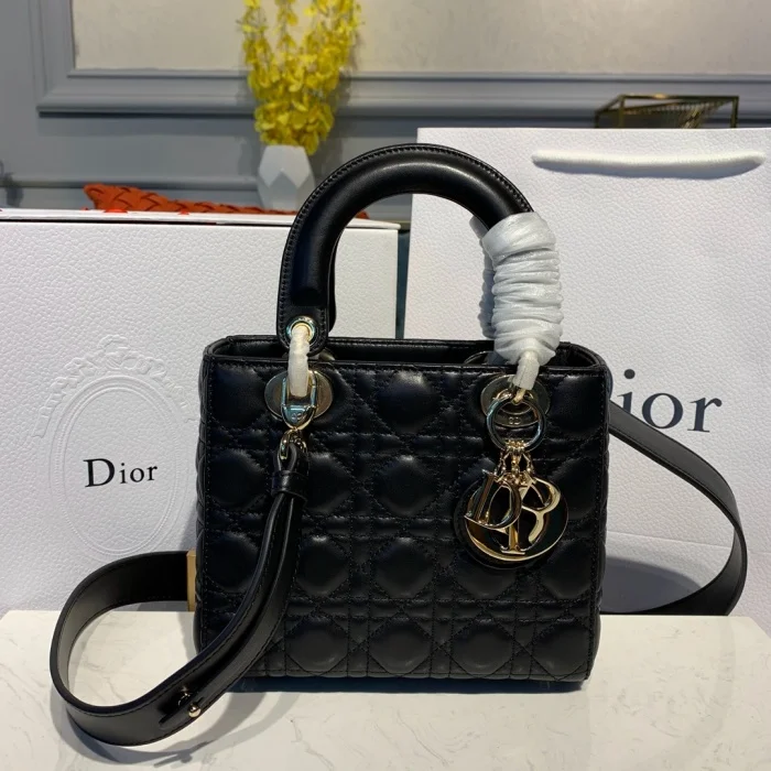 Dior Small Lady Bag 20Cm