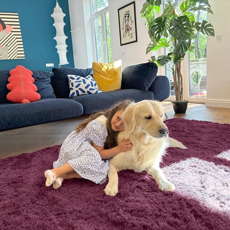 6x9 Machine Washable Large Area Rugs for Living Room, Bedroom