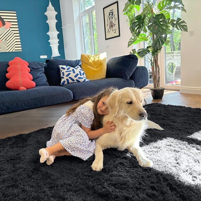 6x9 Machine Washable Large Area Rugs for Living Room, Bedroom