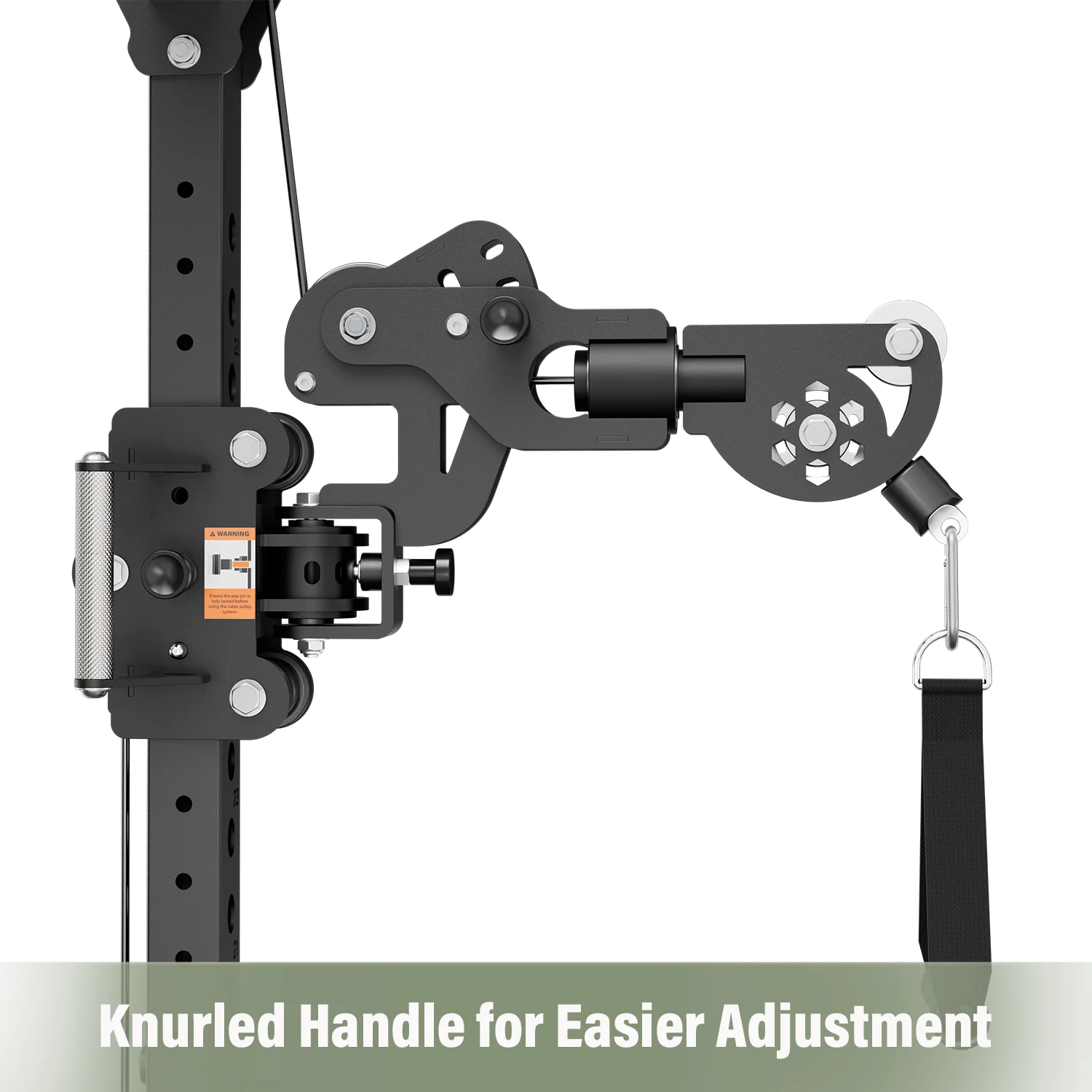 Major Fitness Flex Arms