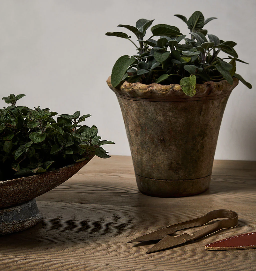 Scalloped Nursery Planter