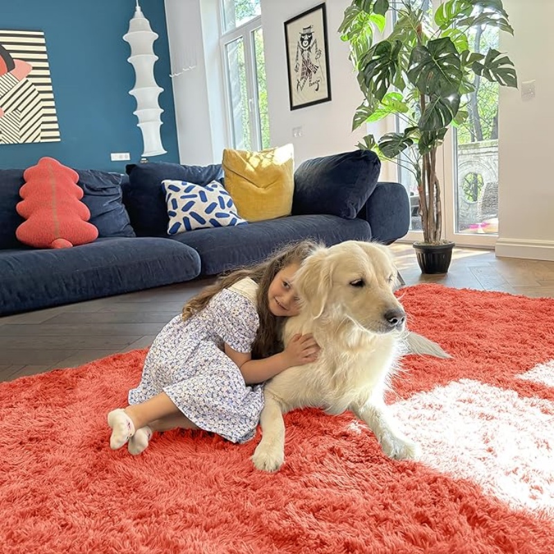 6x9 Machine Washable Large Area Rugs for Living Room, Bedroom