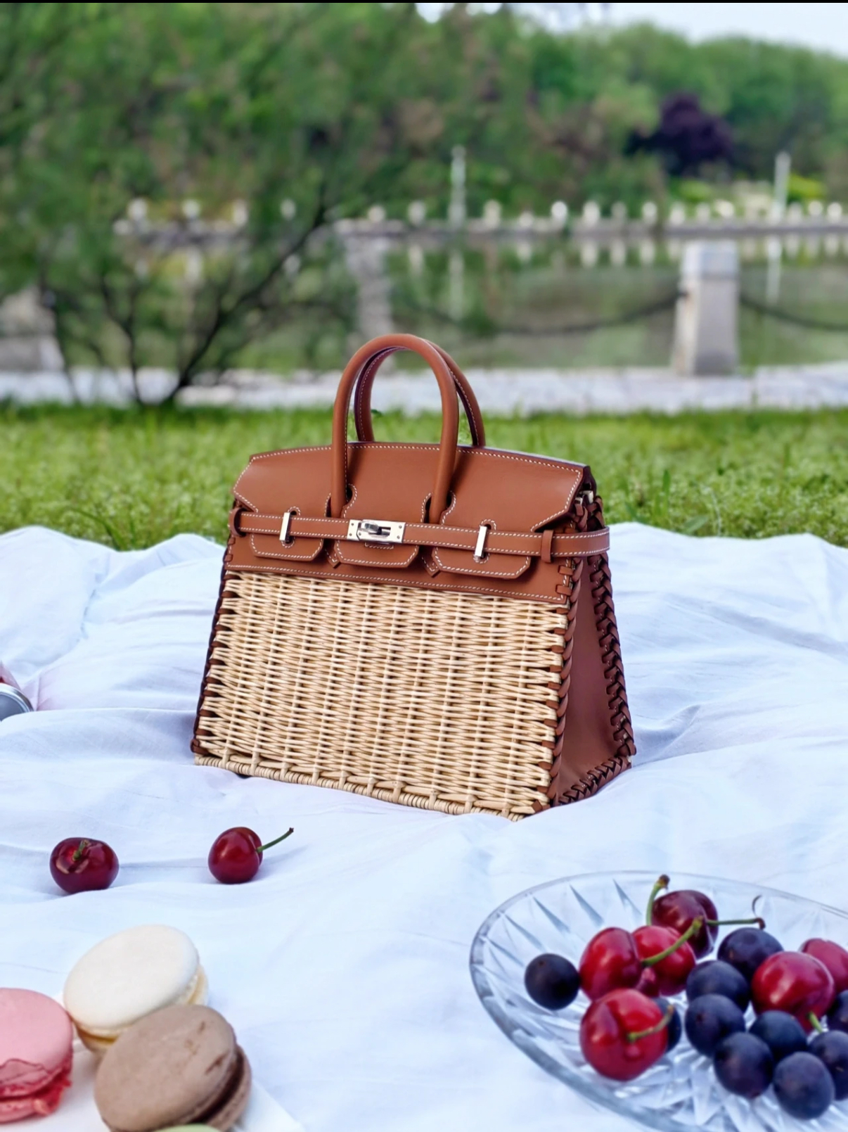 Hermès Picnic Sellier Birkin 25 Framboise Swift Palladium Hardware customization