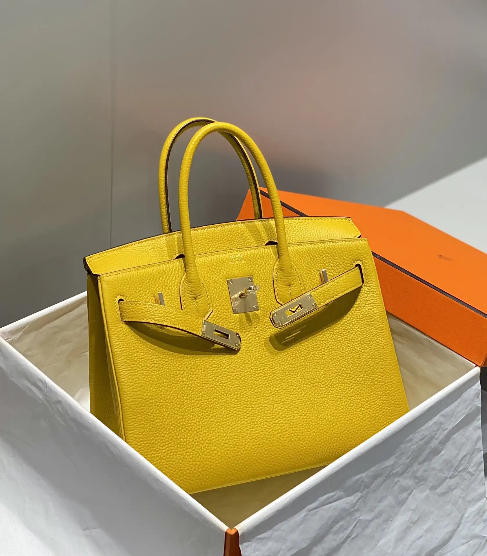 Togo Birkin 25 - Artisantouchss