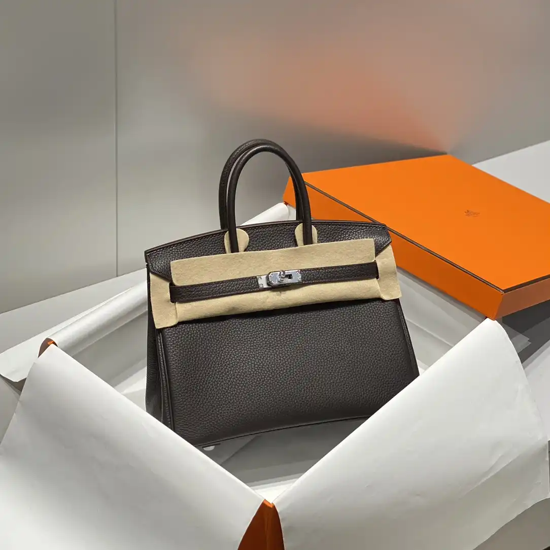 Birkin 25 - Artisantouchss