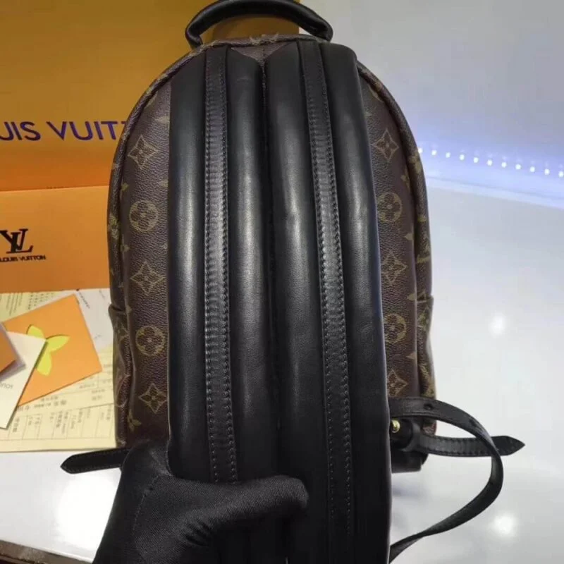 Louis Vuitton Monogram Canvas Palm Springs Backpack Pm M41560