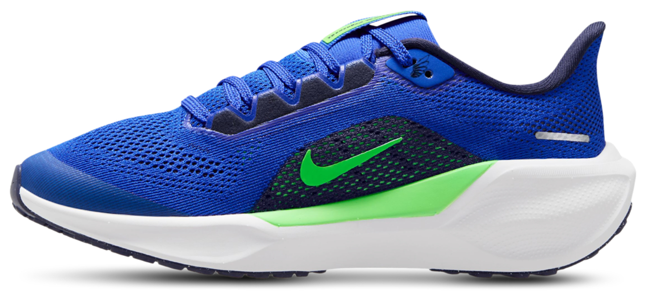 Nike Air Zoom Pegasus 41