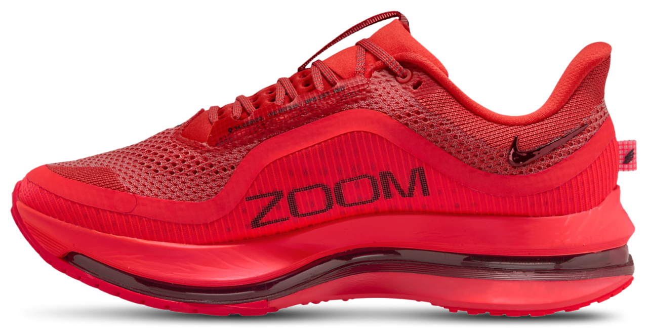 Nike Pegasus Premium