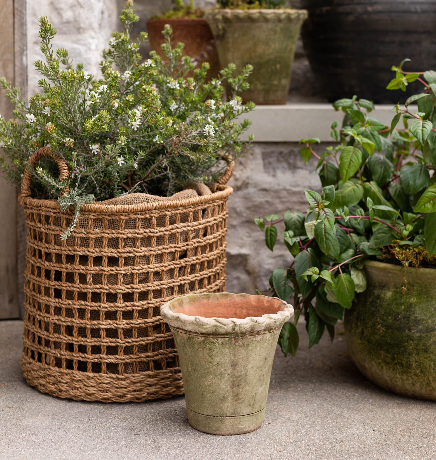 Scalloped Nursery Planter