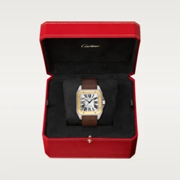SANTOS 100 WATCH 38mm