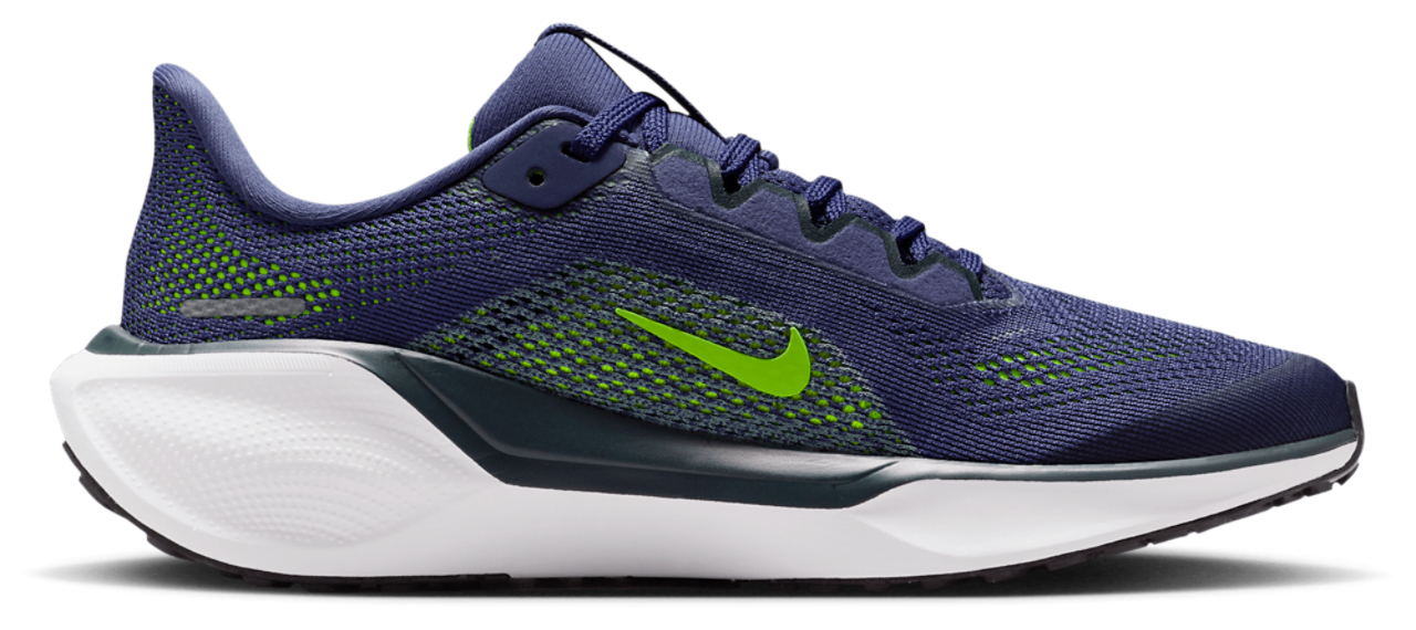 Nike Air Zoom Pegasus 41