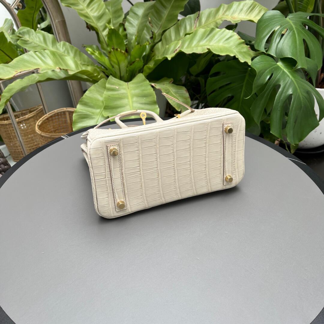 Hermès Birkin25 Glacier White Matte Block Crocodile customization