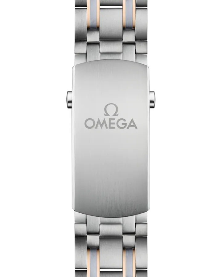 SEAMASTERDIVER 300M42 MM, TITANIUM ? TANTALUM ? SEDNA GOLD ON TITANIUM ? TANTALUM ? SEDNA GOLD
