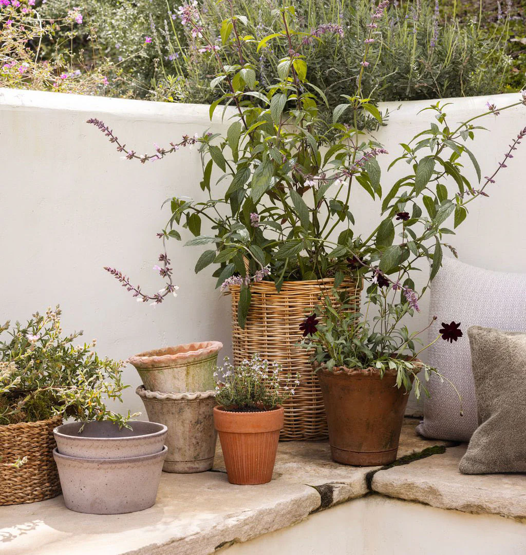 Scalloped Nursery Planter
