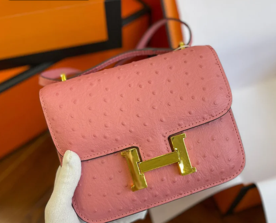 Hermes Handcrafted by masters Constance Mini 19