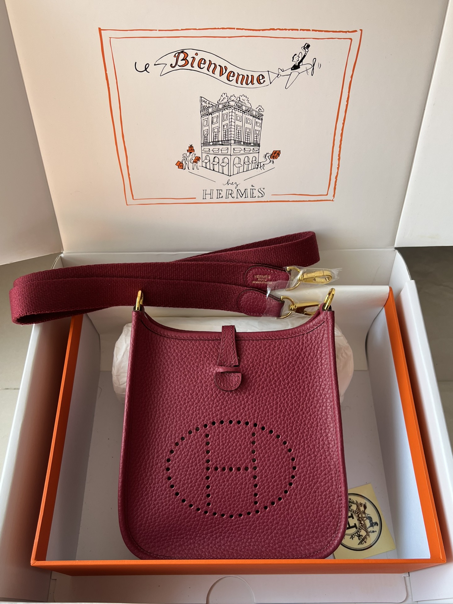 Hermes Evelyn 𝖬𝗂𝗇𝗂 17 Gold Hardware-Top master