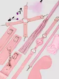 Secret Pleasure Chest Pink Bondage Kit (11 Pieces)