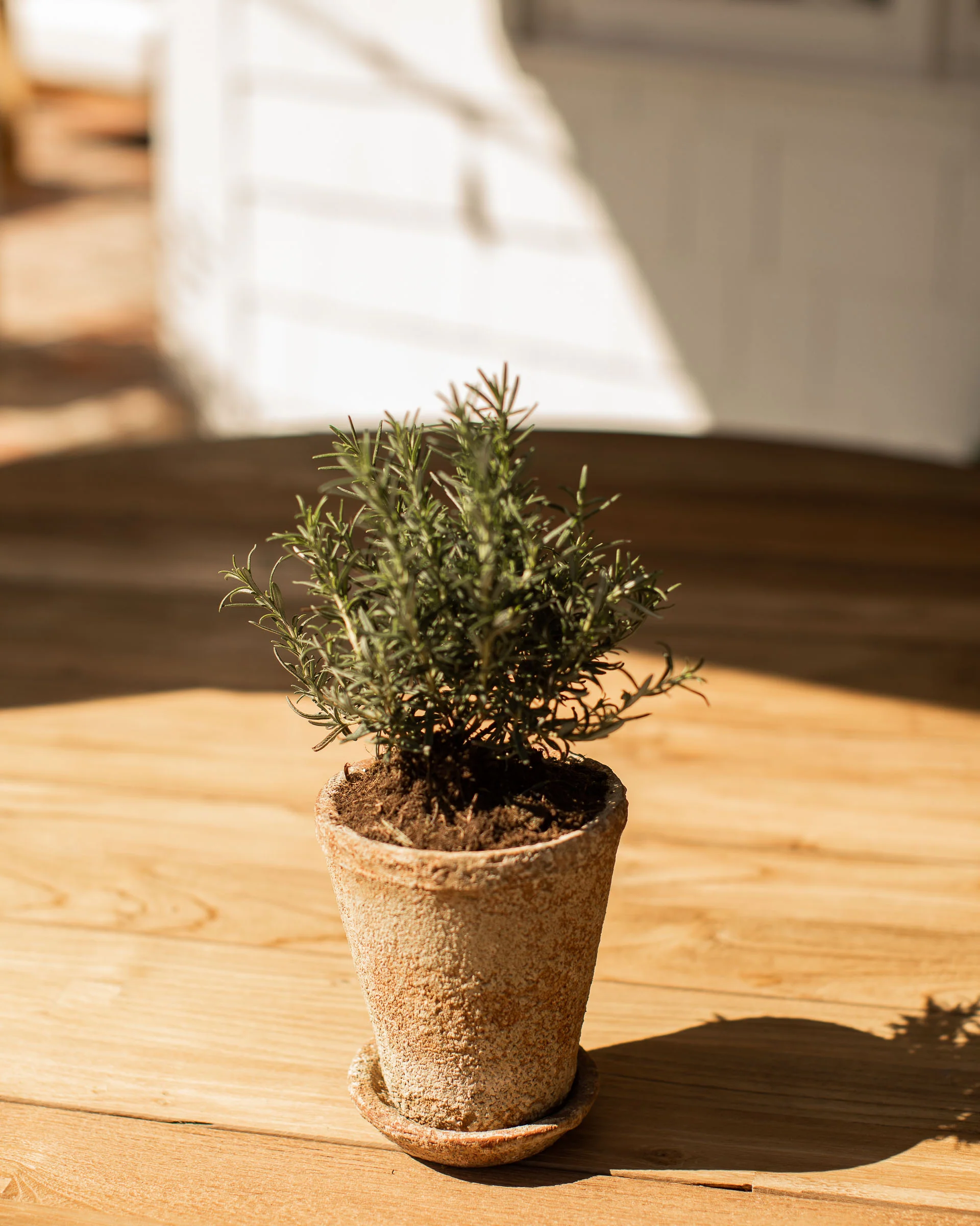 Leith Planter