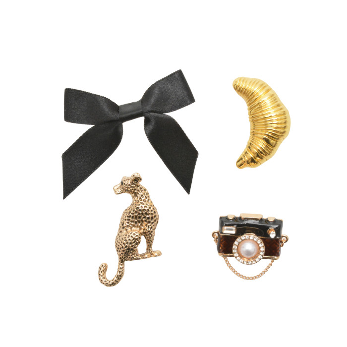 Accesorii ALDO aurii, CHICPINS 970, din metal