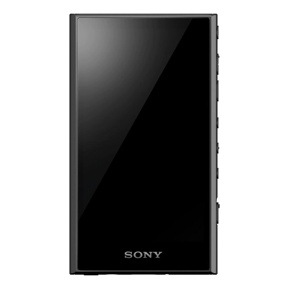 NW-A306 Walkman® A Series