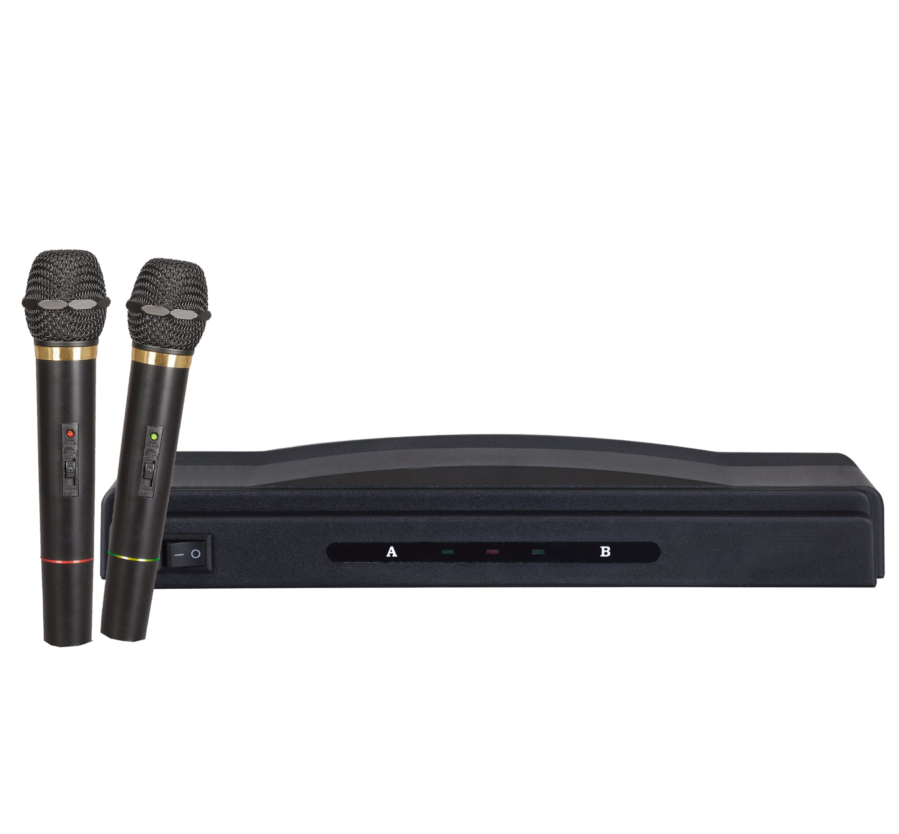 Professional Dual Wireless Microphone System