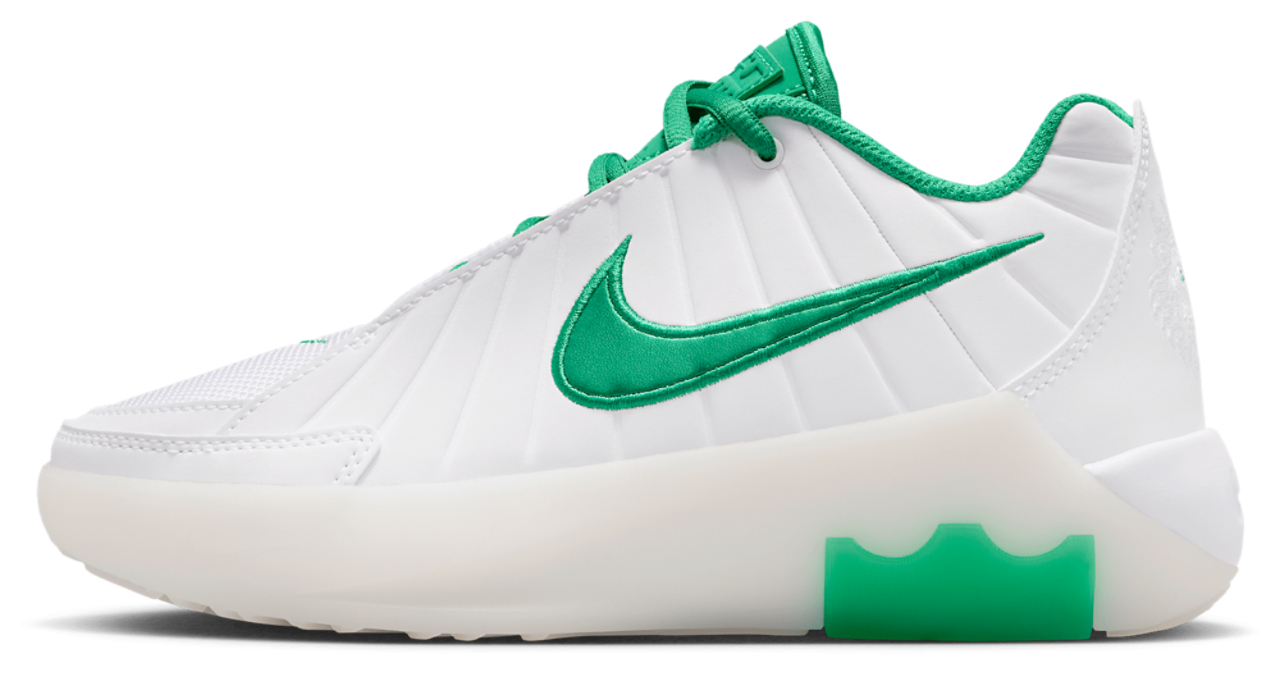 Nike Lebron Witness IX