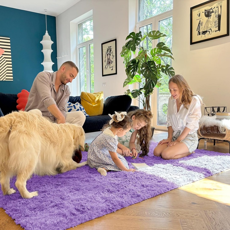 6x9 Machine Washable Large Area Rugs for Living Room, Bedroom