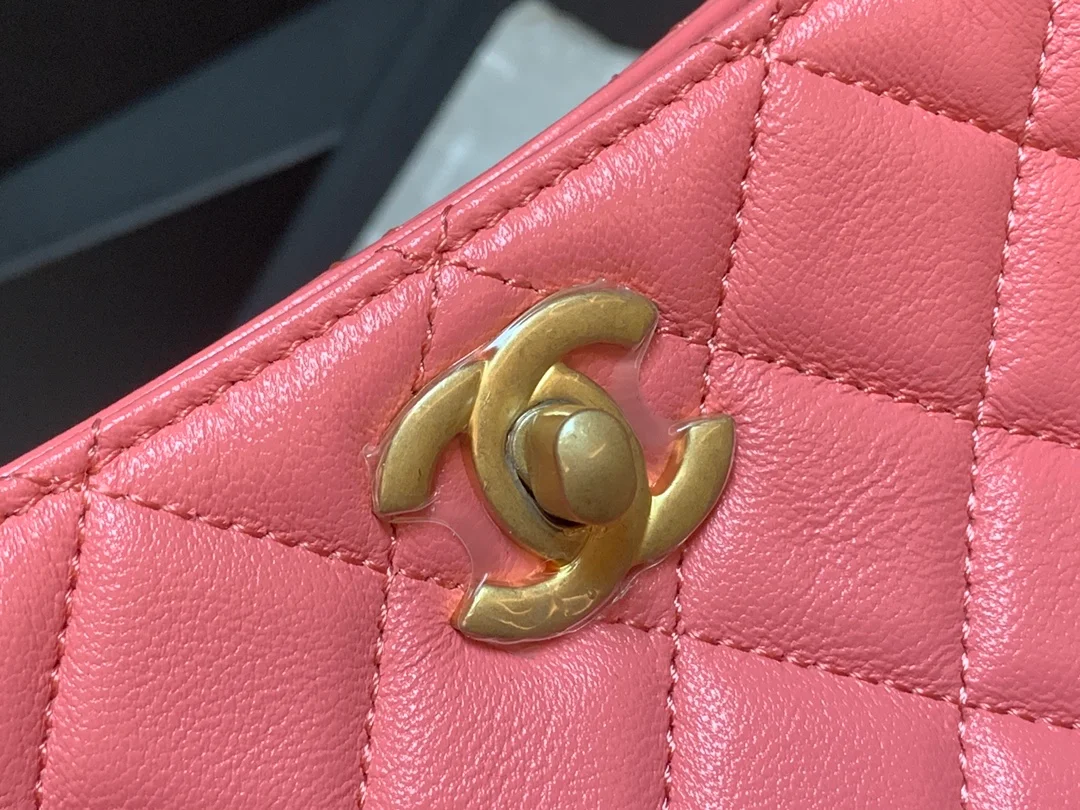 Chanel Hobo Handbag Pink Bag For Women 16cm/6in
