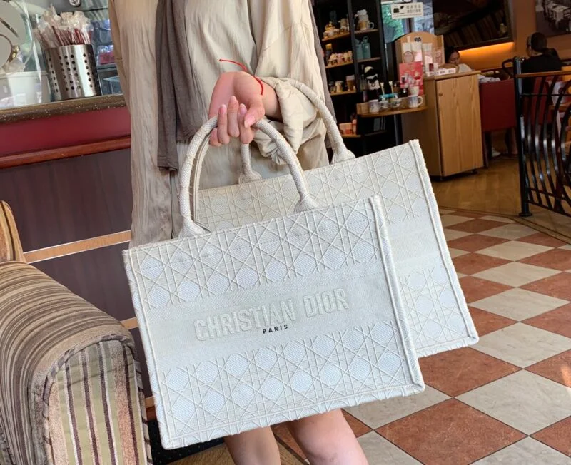 Dior Small Book Tote Multi Colors