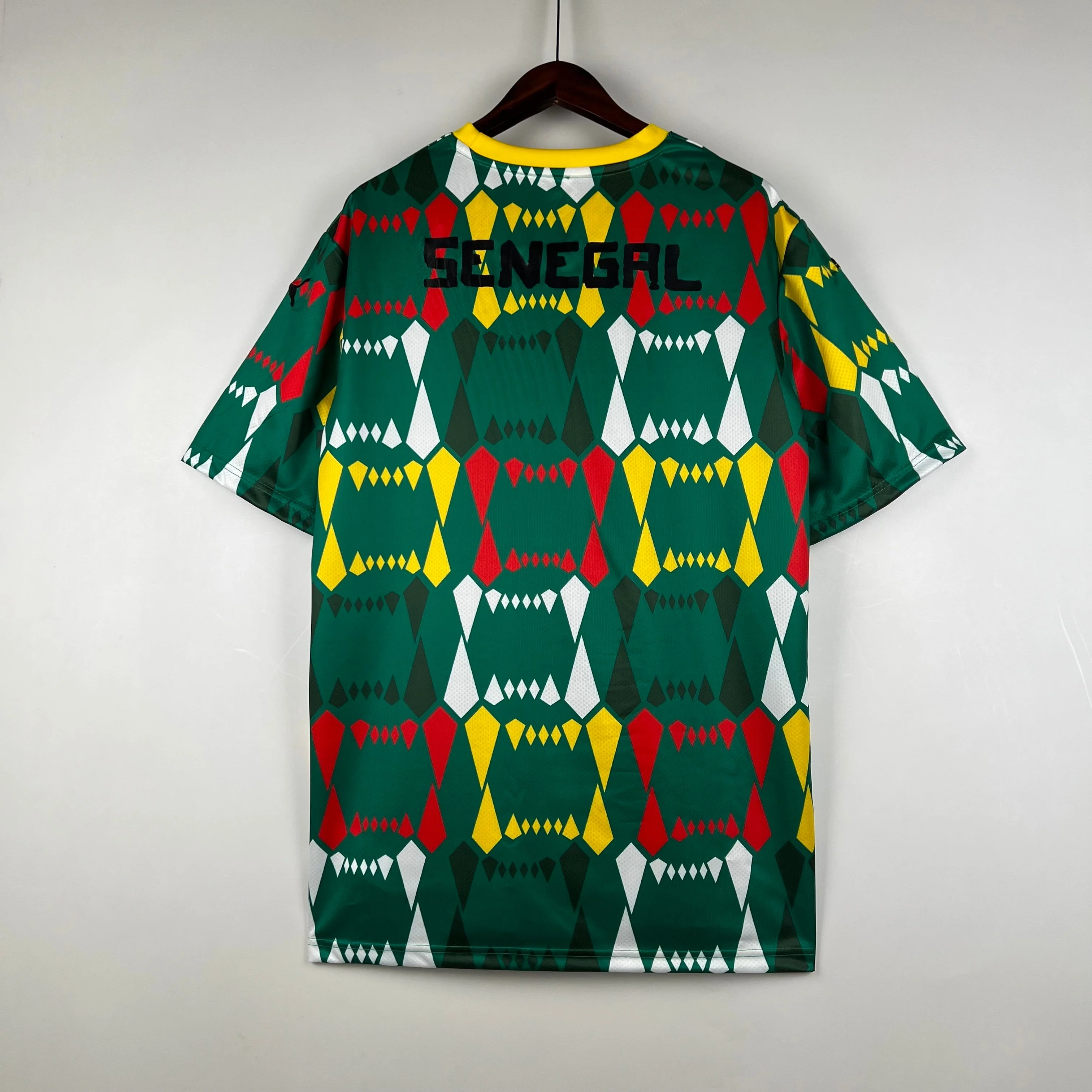 Senegal Home 2023/24 - Fan Version