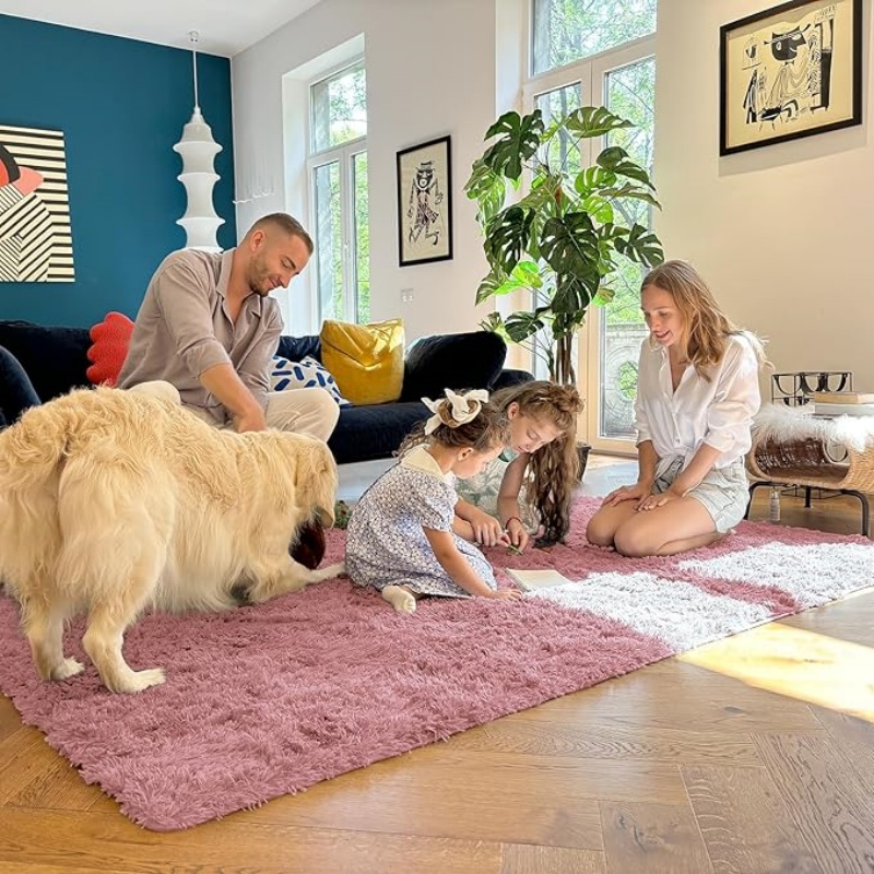 6x9 Machine Washable Large Area Rugs for Living Room, Bedroom