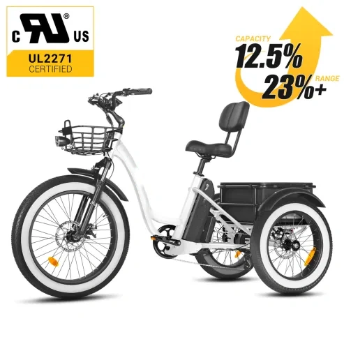 Special offer⚡️[750W] Rear Drive Electric Trike Ver 2026