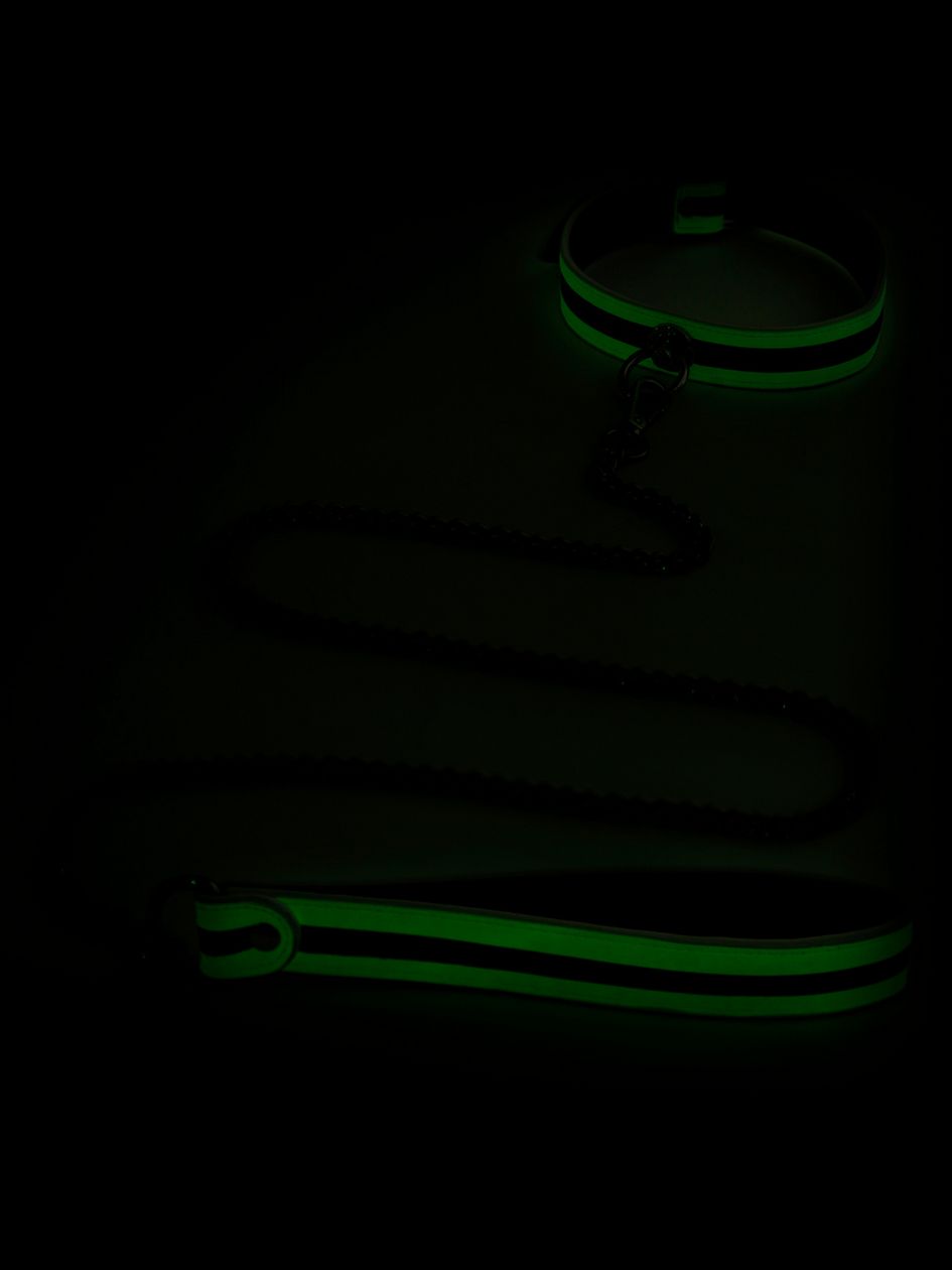 Bondage Boutique Glow-in-the-Dark Collar and Lead