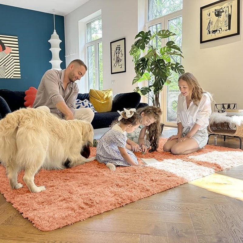 6x9 Machine Washable Large Area Rugs for Living Room, Bedroom