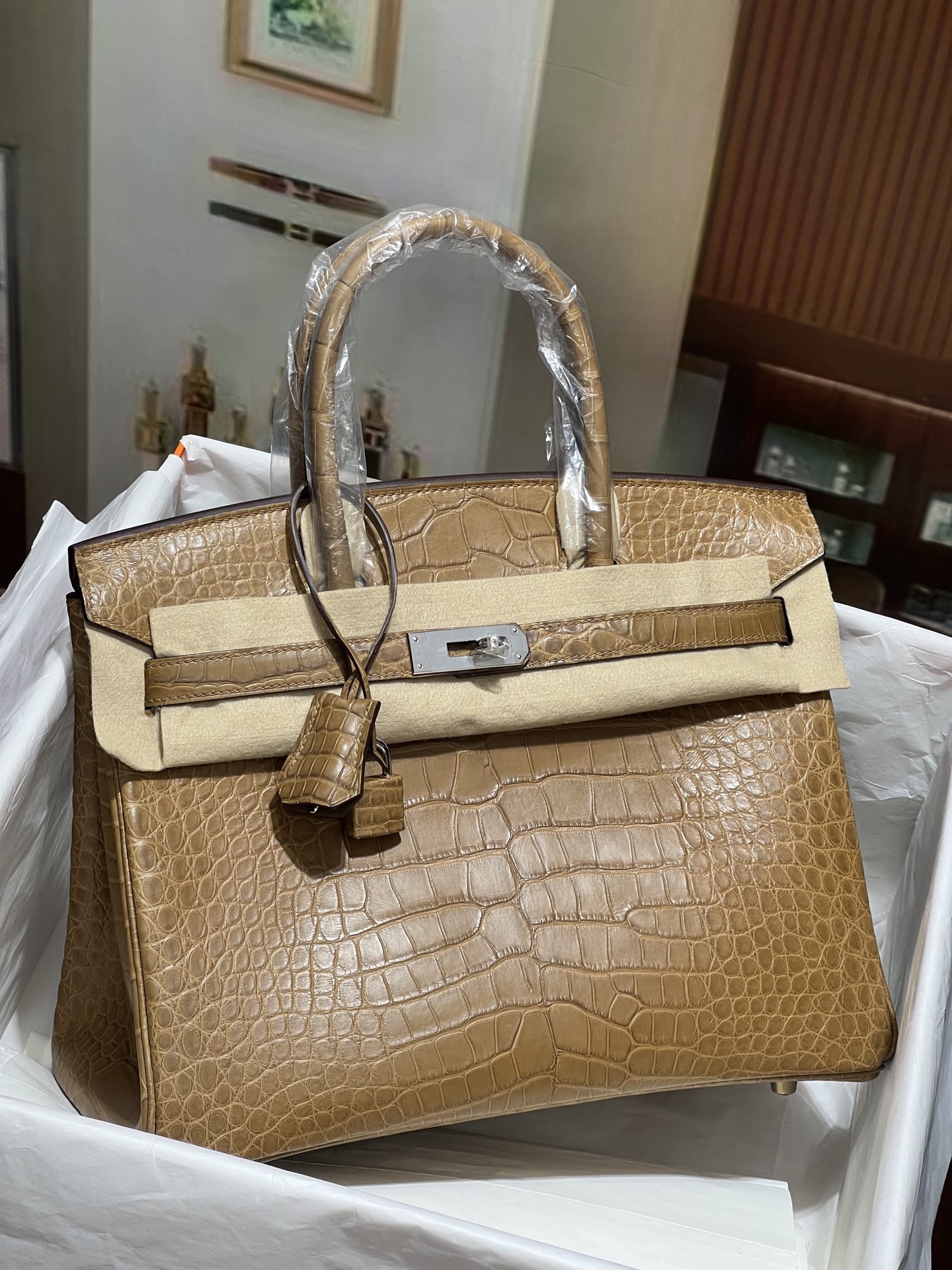Hermès Birkin 25-30 Milk Tea Matte Crocodile Leather