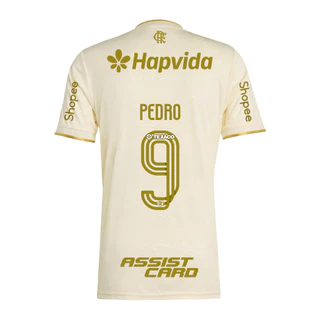 Manto Flamengo Jogo 3 2025/26 �?Fan version All Sponsor #9 Pedro