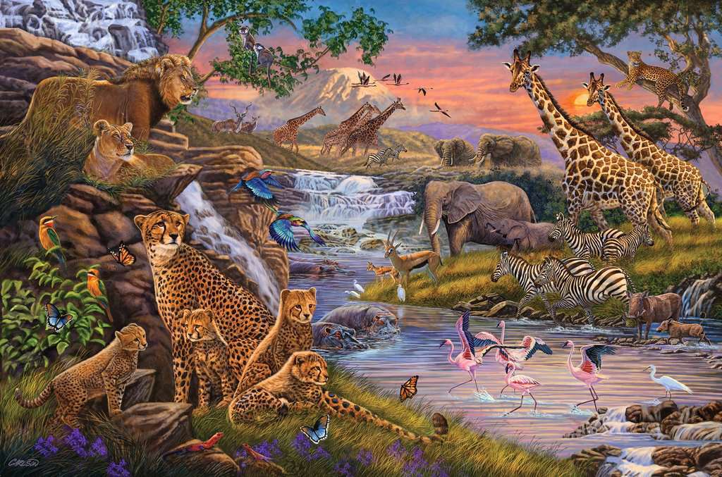 Animal Kingdom 3000 Piece Puzzle