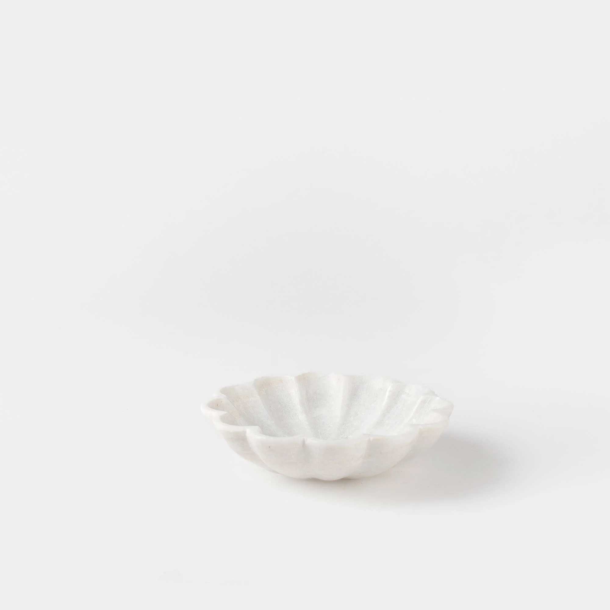 Anthia Dish