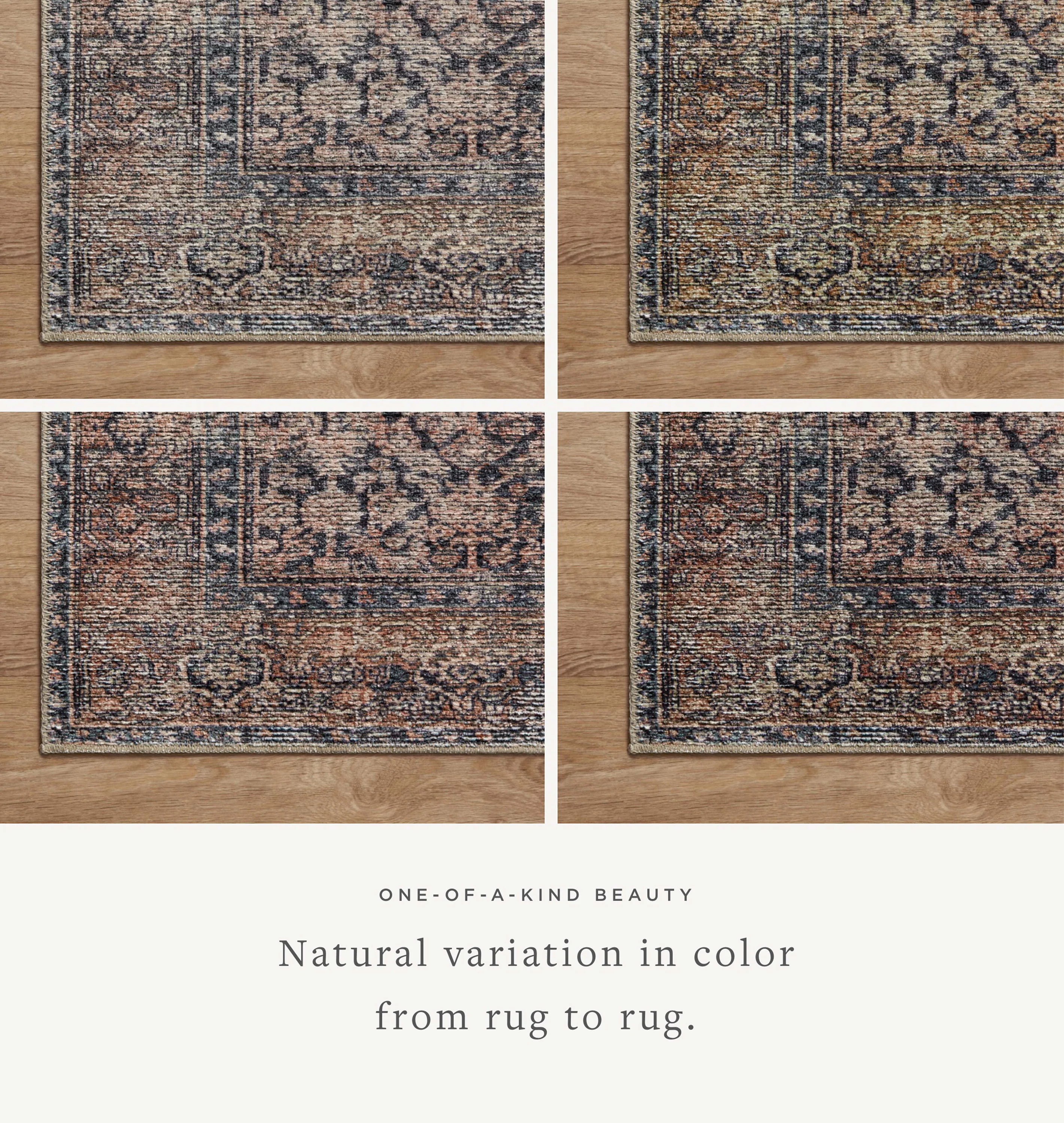 Billie BIL-01 Ink / Salmon Area Rug