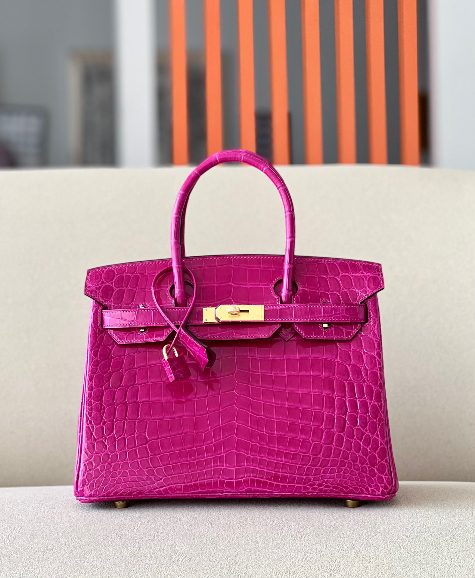 Advanced customization Birkin 25-30 crocodile skin