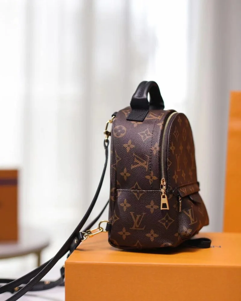 Louis Vuitton M44873 Palm Springs Mini