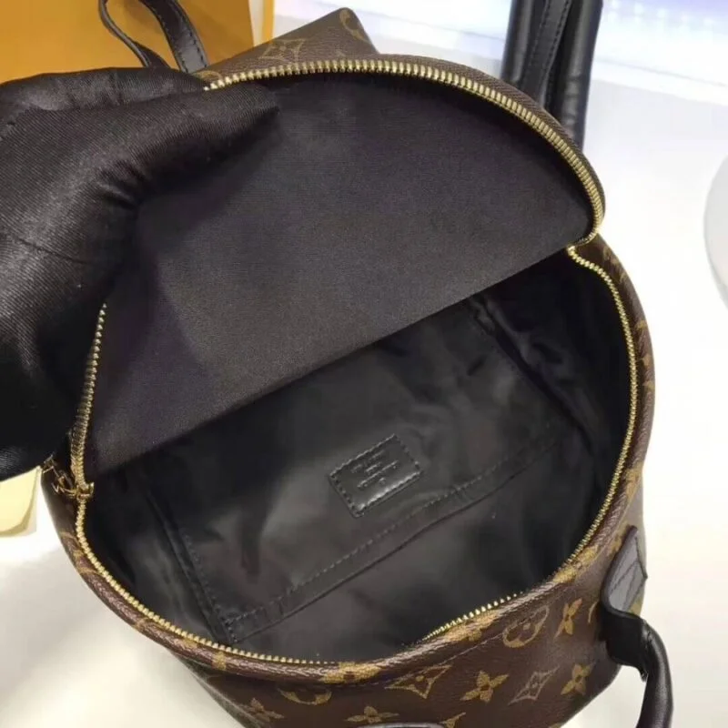Louis Vuitton Monogram Canvas Palm Springs Backpack Pm M41560