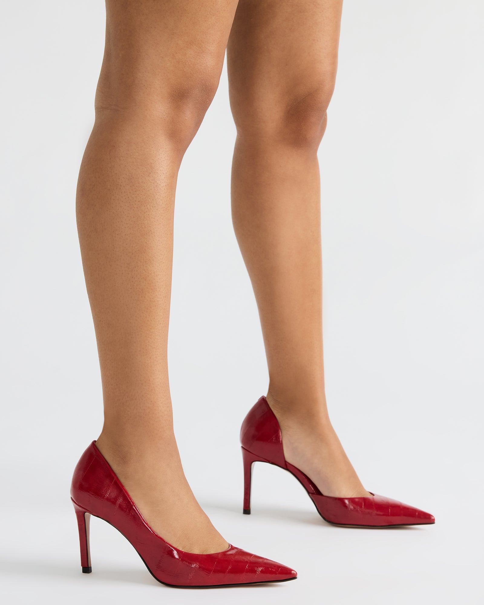 Nula Red Eel