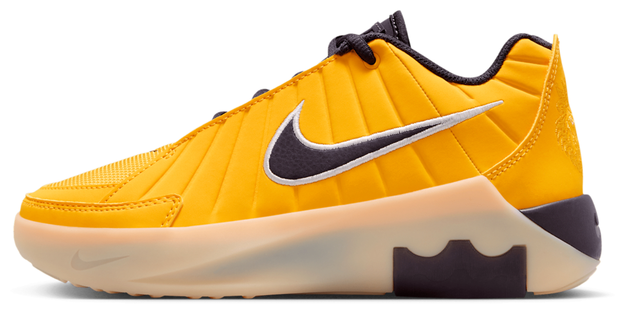 Nike Lebron Witness IX