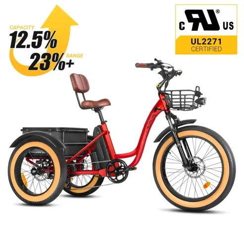 clearance sale💥[750W] Rear Drive Electric Trike Ver 2026
