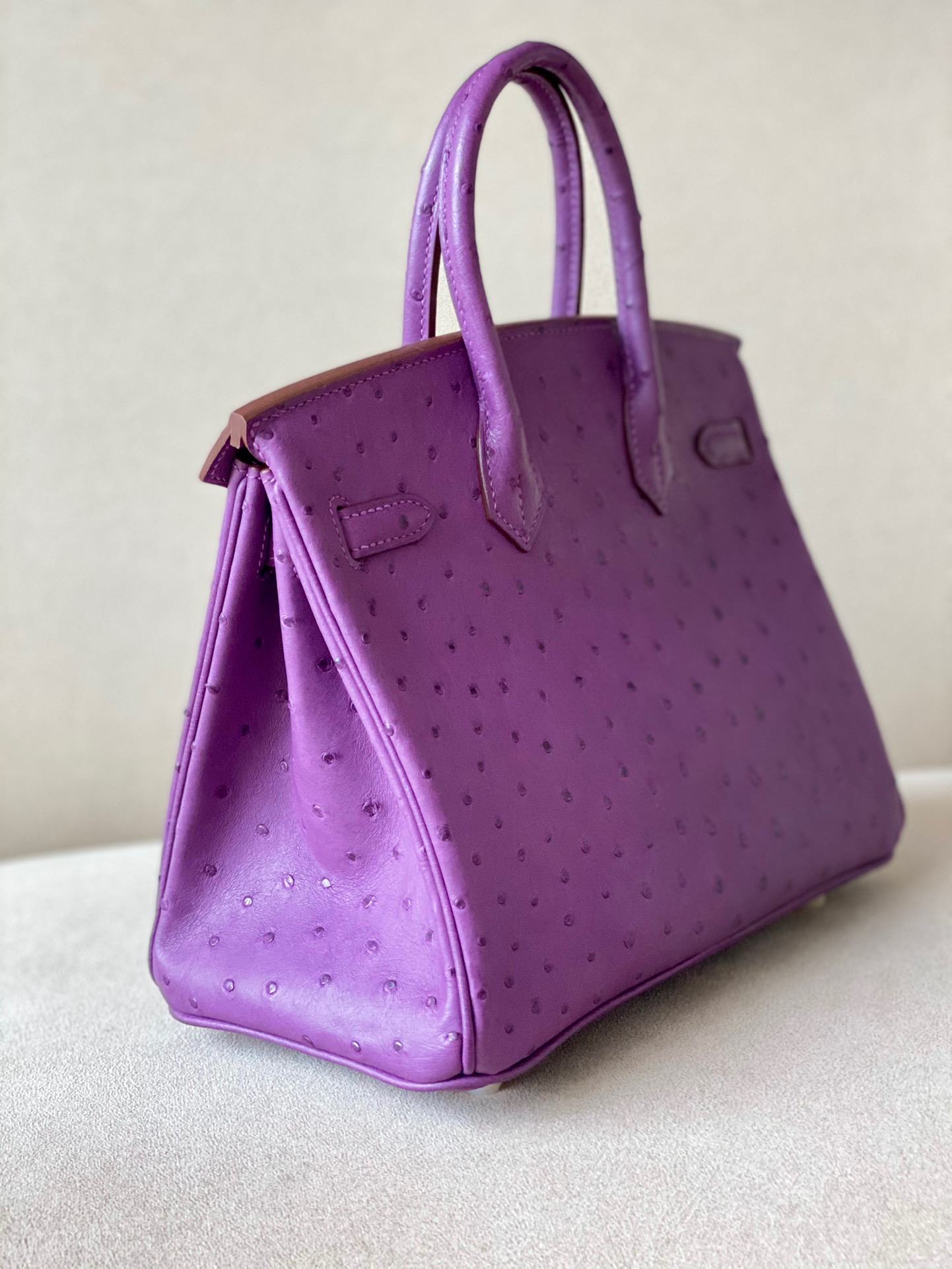 Advanced customization Birkin 25-30 Ostrich skin  customization