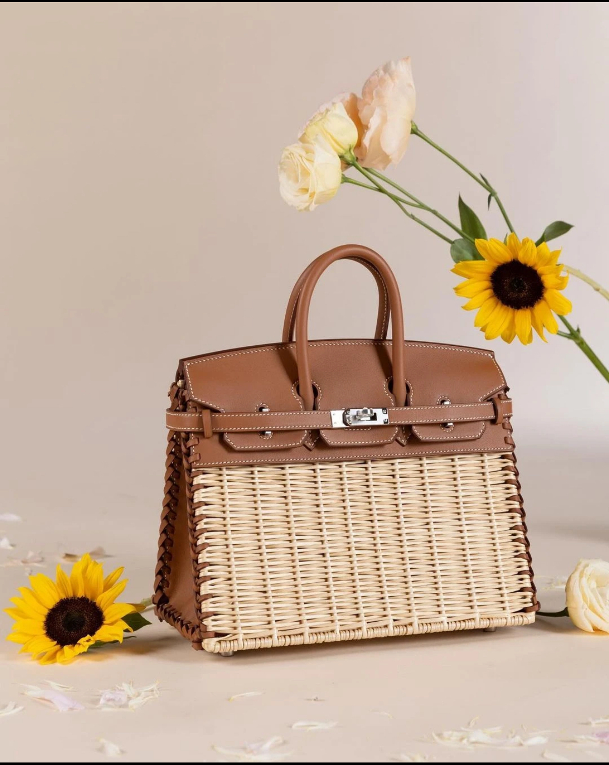 Hermès Picnic Sellier Birkin 25 Framboise Swift Palladium Hardware customization