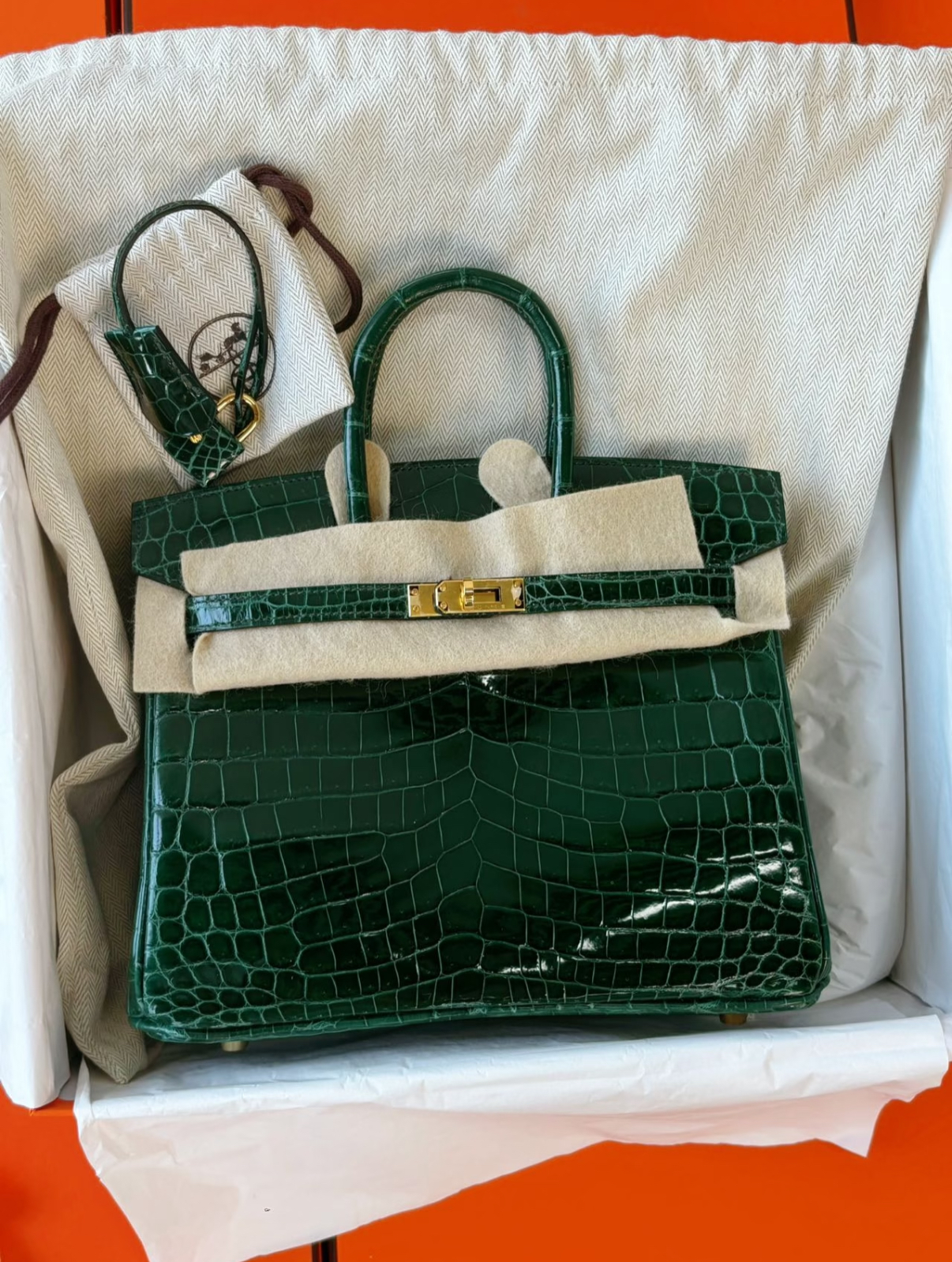 Hermès Birkin 25-35 Emerald Bay Crocodile Leather